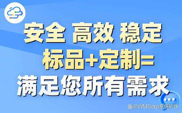 個性化的企業管理系統定制,提升業務流程管理效率