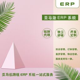 亞馬遜erp出售及一站式服務從零到基礎一對一指導